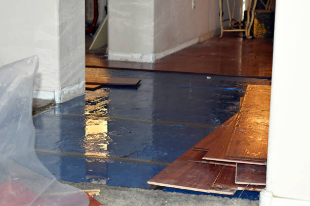 Professional Emergency Water Damage Restoration technician working in Amlin, OH